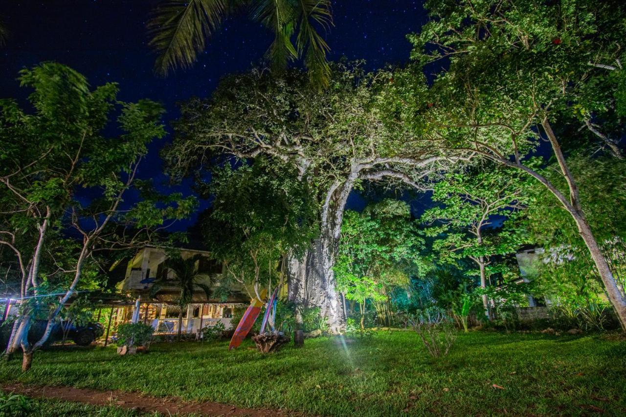 Mami Wata House Bed and Breakfast Kwale Εξωτερικό φωτογραφία